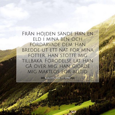 Klagovisorna 1:13 SV1917 Bild av bibelvers