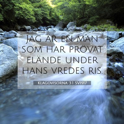 Klagovisorna 3:1 Bibelvers Förklarad
