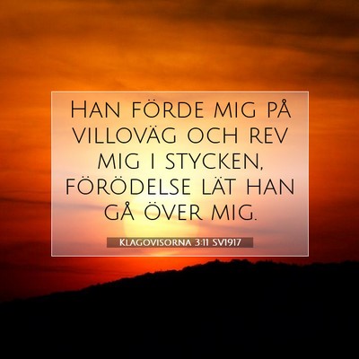 Klagovisorna 3:11 SV1917 Bild av bibelvers