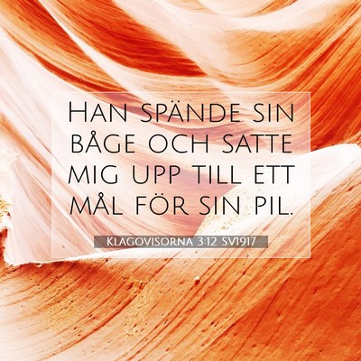 Klagovisorna 3:12 SV1917 Bild av bibelvers