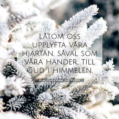 Klagovisorna 3:41 SV1917 Bild av bibelvers