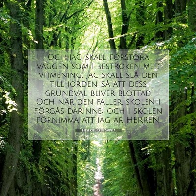 Hesekiel 13:14 SV1917 Bild av bibelvers