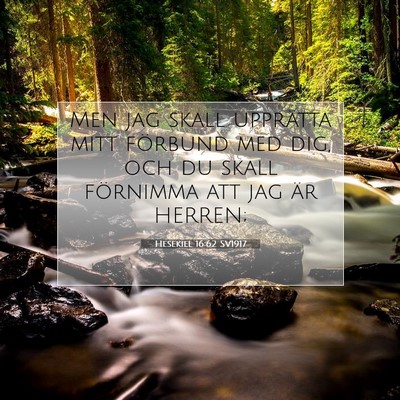 Hesekiel 16:62 Bibelvers Förklarad