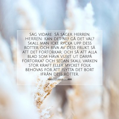 Hesekiel 17:9 Bibelvers Förklarad
