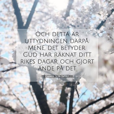 Daniel 5:26 SV1917 Bild av bibelvers