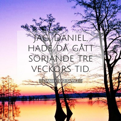 Daniel 10:2 SV1917 Bild av bibelvers