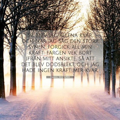 Daniel 10:8 Bibelvers Förklarad