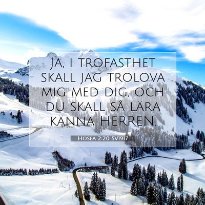 Hosea 2:20 Bibelvers Förklarad