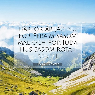 Hosea 5:12 SV1917 Bild av bibelvers