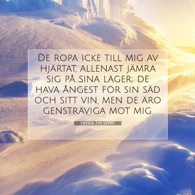 Hosea 7:14 SV1917 Bild av bibelvers