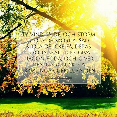 Hosea 8:7 SV1917 Bild av bibelvers