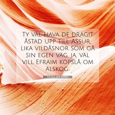 Hosea 8:9 Bibelvers Förklarad