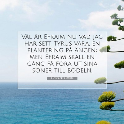 Hosea 9:13 Bibelvers Förklarad