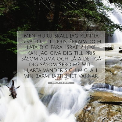 Hosea 11:8 SV1917 Bild av bibelvers