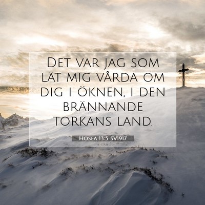 Hosea 13:5 Bibelvers Förklarad
