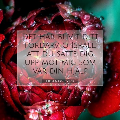 Hosea 13:9 SV1917 Bild av bibelvers