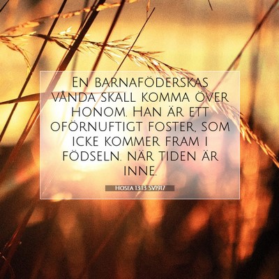 Hosea 13:13 SV1917 Bild av bibelvers