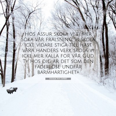 Hosea 14:4 SV1917 Bild av bibelvers