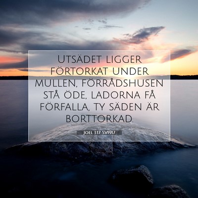 Joel 1:17 SV1917 Bild av bibelvers