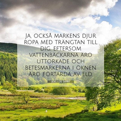 Joel 1:20 SV1917 Bild av bibelvers