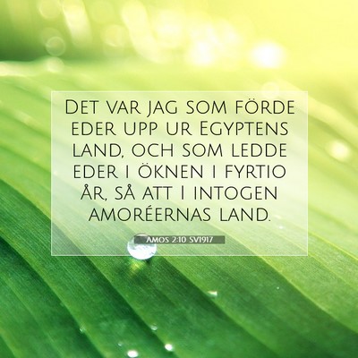 Amos 2:10 SV1917 Bild av bibelvers