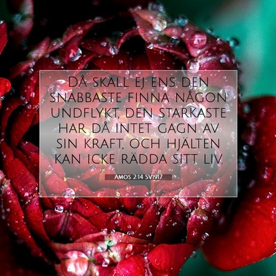 Amos 2:14 SV1917 Bild av bibelvers