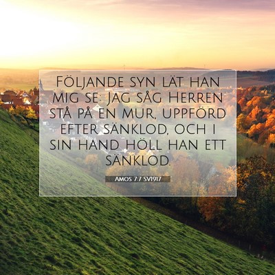 Amos 7:7 SV1917 Bild av bibelvers