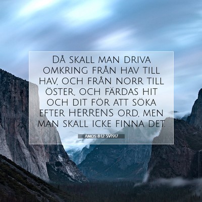 Amos 8:12 SV1917 Bild av bibelvers
