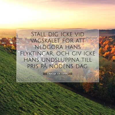 Obadja 1:14 Bibelvers Förklarad