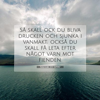 Nahum 3:11 SV1917 Bild av bibelvers