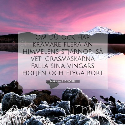 Nahum 3:16 SV1917 Bild av bibelvers