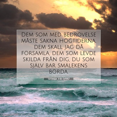 Sefanja 3:18 SV1917 Bild av bibelvers
