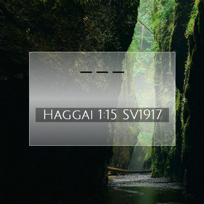 Haggai 1:15 Bibelvers Förklarad