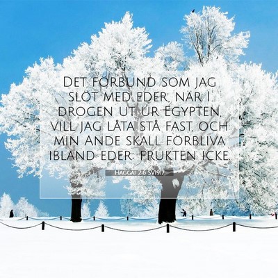 Haggai 2:6 SV1917 Bild av bibelvers