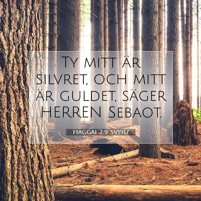 Haggai 2:9 SV1917 Bild av bibelvers
