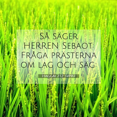 Haggai 2:12 Bibelvers Förklarad
