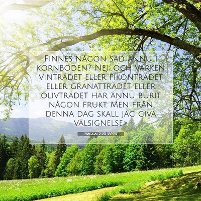 Haggai 2:20 SV1917 Bild av bibelvers