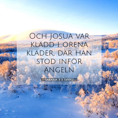 Sakaria 3:3 SV1917 Bild av bibelvers