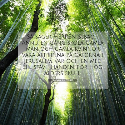 Sakaria 8:4 SV1917 Bild av bibelvers