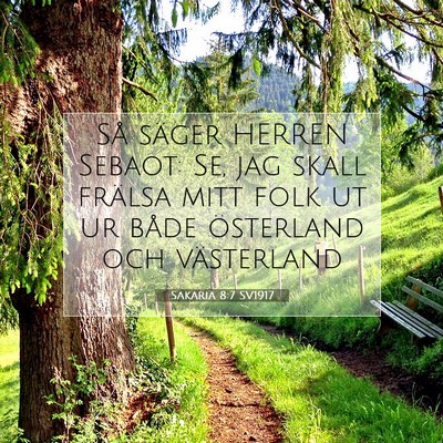 Sakaria 8:7 SV1917 Bild av bibelvers