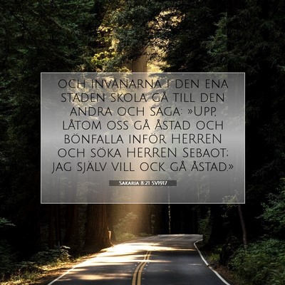 Sakaria 8:21 SV1917 Bild av bibelvers