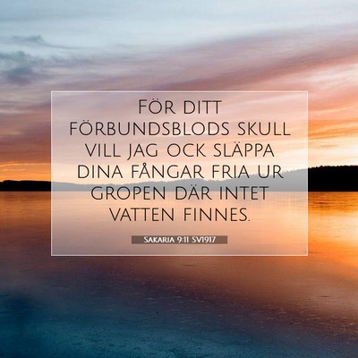 Sakaria 9:11 SV1917 Bild av bibelvers