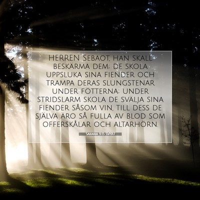 Sakaria 9:15 SV1917 Bild av bibelvers