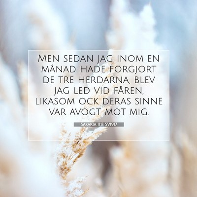 Sakaria 11:8 SV1917 Bild av bibelvers