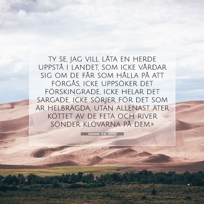 Sakaria 11:16 SV1917 Bild av bibelvers