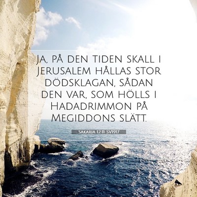 Sakaria 12:11 Bibelvers Förklarad