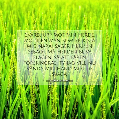 Sakaria 13:7 SV1917 Bild av bibelvers