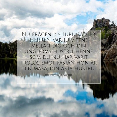 Malaki 2:14 SV1917 Bild av bibelvers