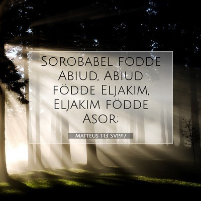 Matteus 1:13 Bibelvers Förklarad