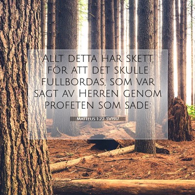 Matteus 1:22 Bibelvers Förklarad